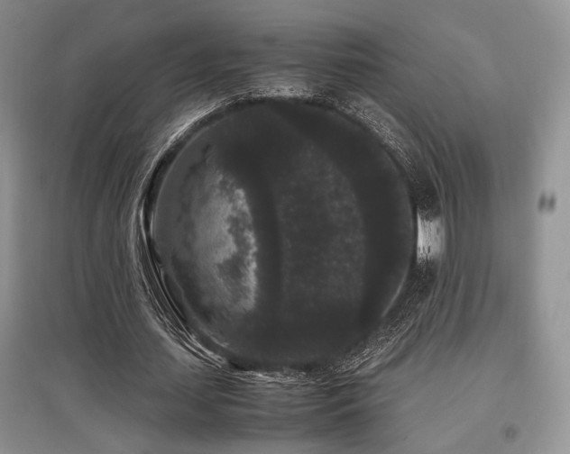 X0000097800627200803141054