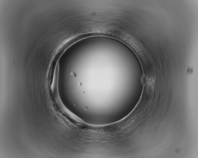 X0000097800628200803141054