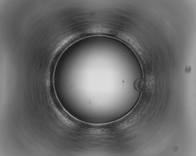 X0000097800629200803141054