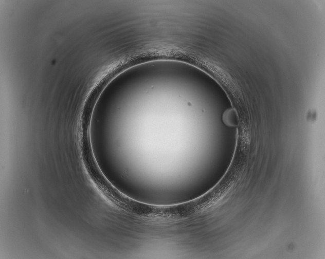 X0000097800630200803141054