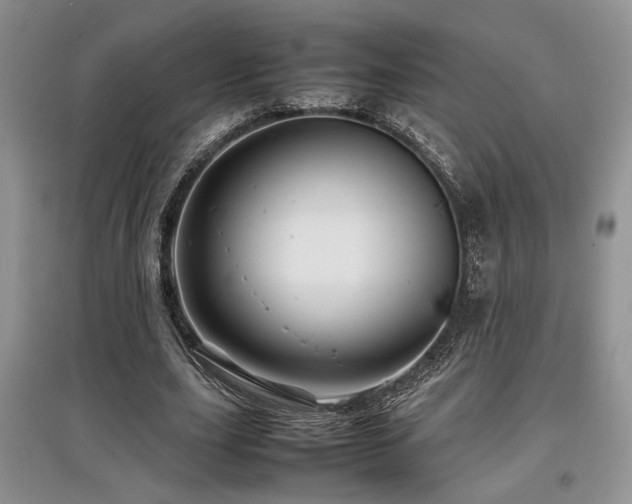 X0000097800631200803141054