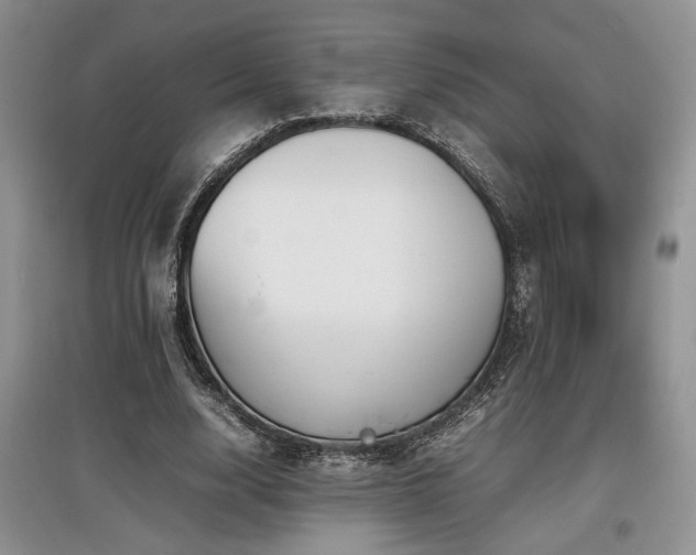 X0000097800632200803141054