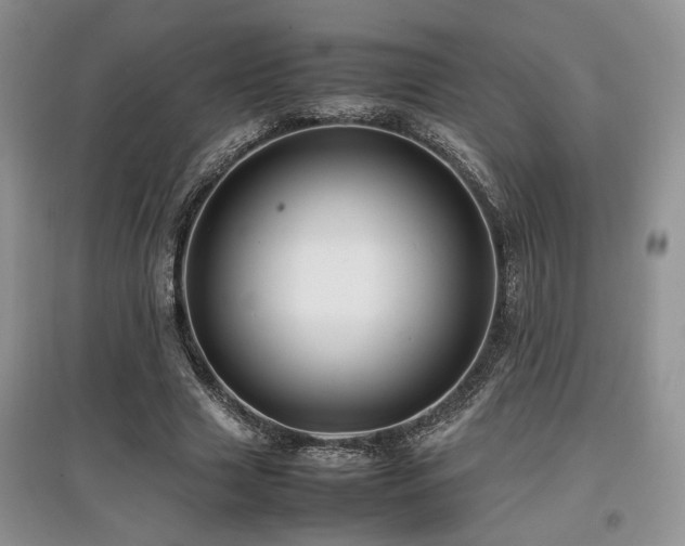 X0000097800633200803141054