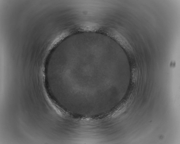 X0000097800634200803141054