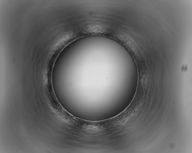 X0000097800635200803141054