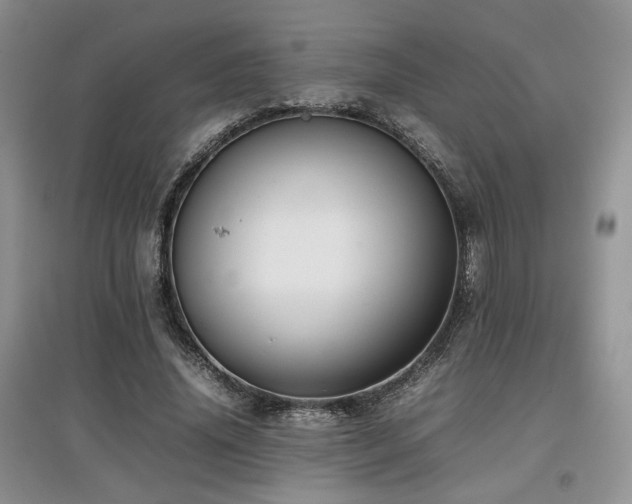 X0000097800636200803141054