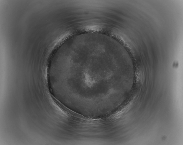 X0000097800637200803141054