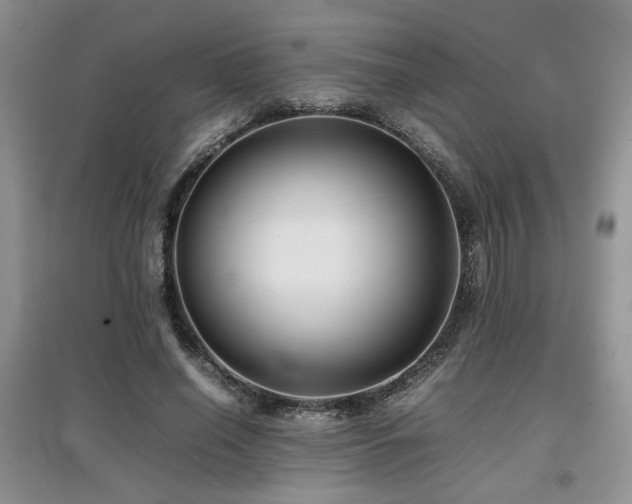 X0000097800638200803141054