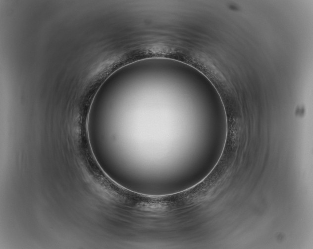 X0000097800639200803141054