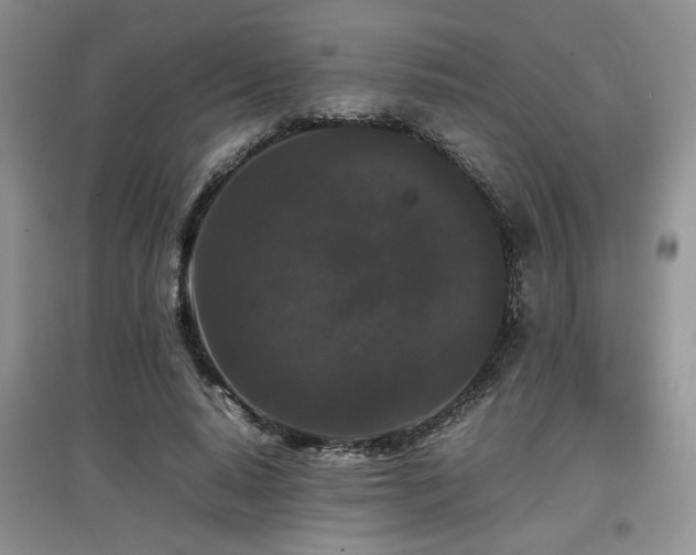 X0000097800640200803141054