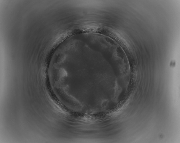 X0000097800641200803141055