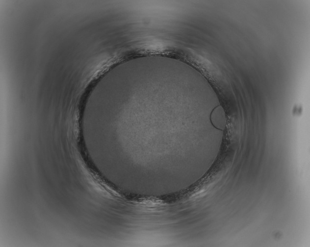 X0000097800642200803141055