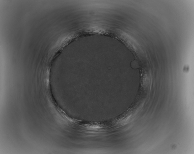 X0000097800643200803141055