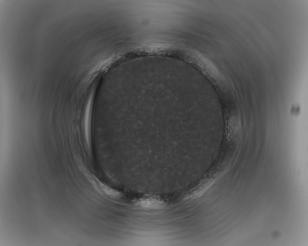 X0000097800644200803141055