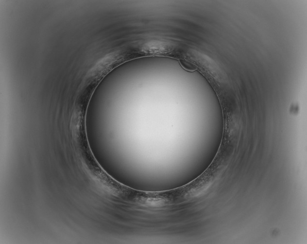 X0000097800645200803141055