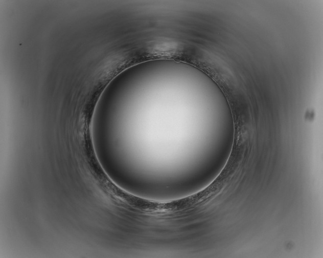 X0000097800647200803141055