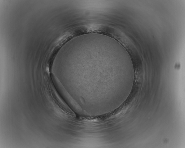 X0000097800648200803141055