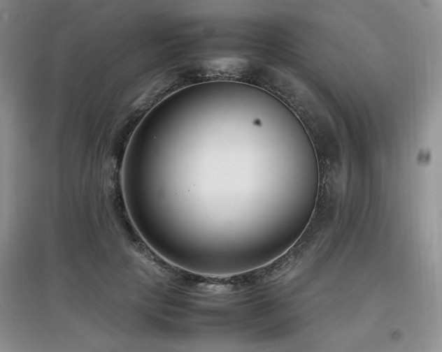 X0000097800649200803141055