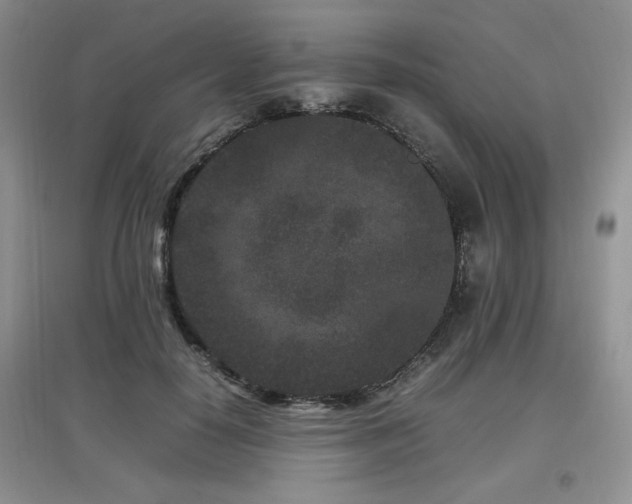 X0000097800650200803141055