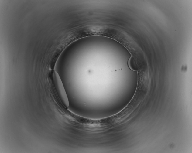 X0000097800651200803141055