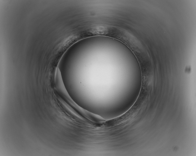 X0000097800652200803141055