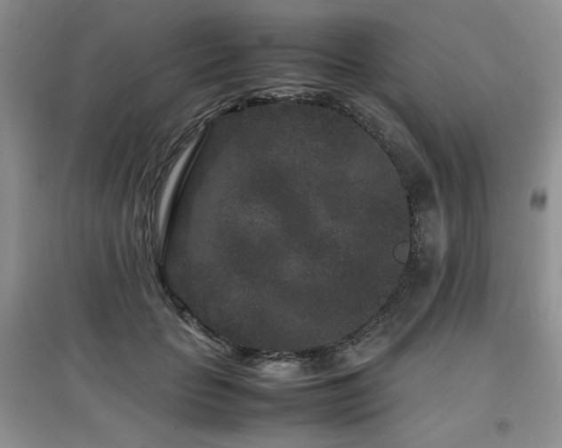 X0000097800653200803141055