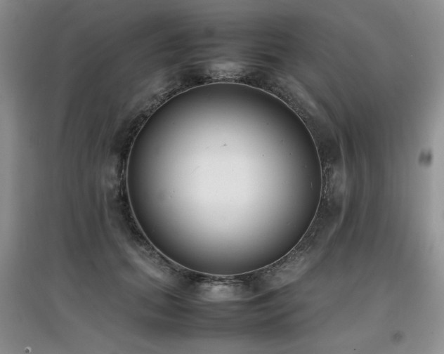 X0000097800655200803141055