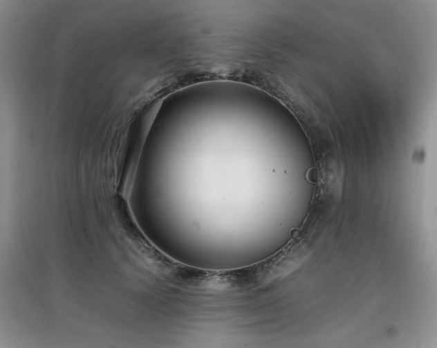 X0000097800656200803141055