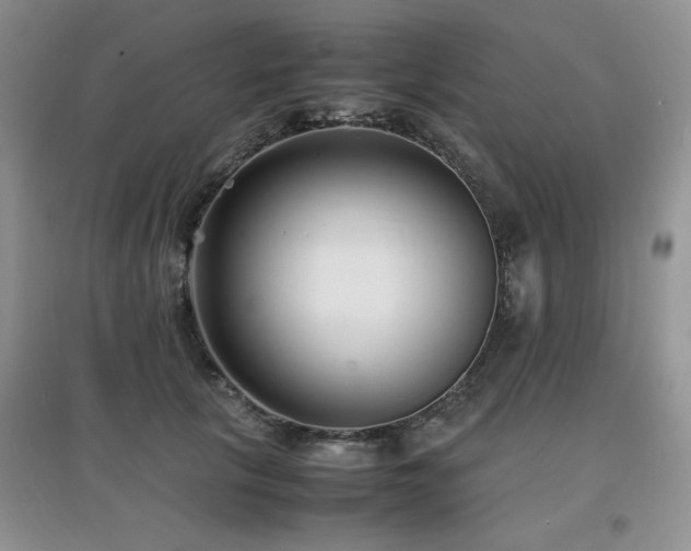 X0000097800657200803141055