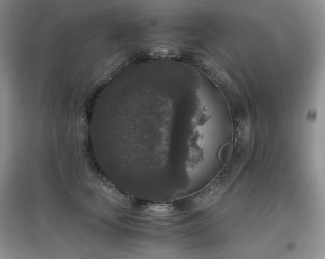 X0000097800659200803141055