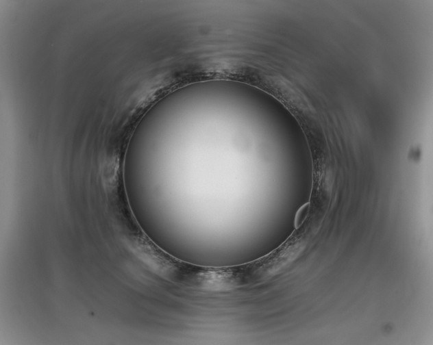 X0000097800660200803141055