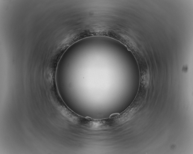 X0000097800662200803141055