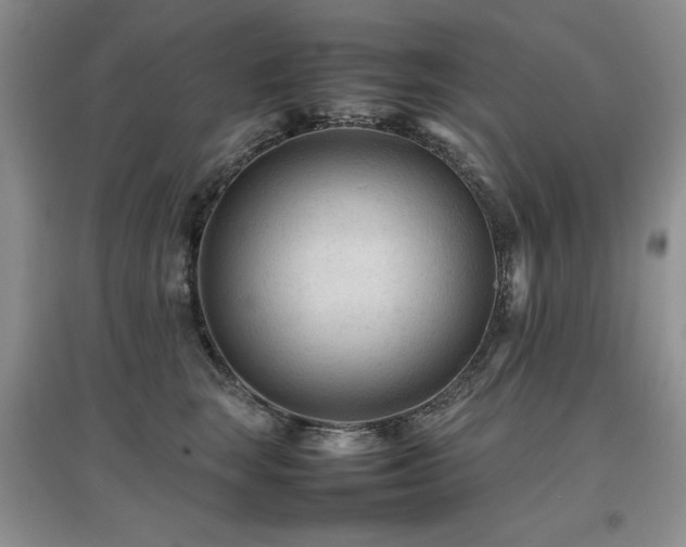 X0000097800663200803141055