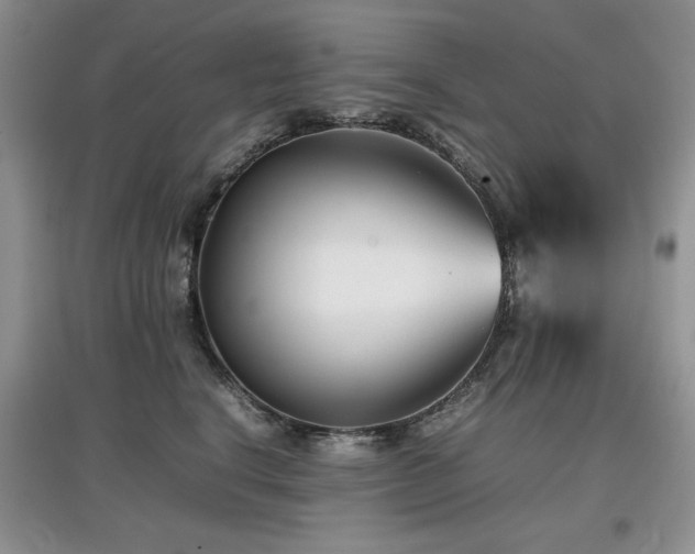 X0000097800664200803141055