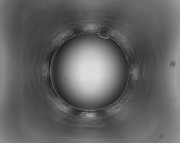 X0000097800665200803141055