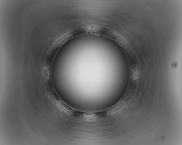 X0000097800666200803141055