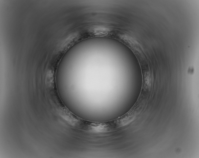 X0000097800667200803141055