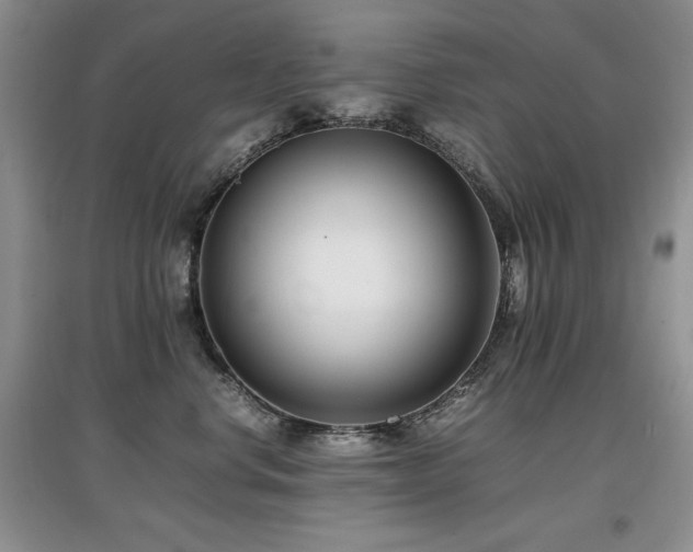 X0000097800668200803141055