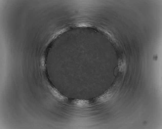 X0000097800670200803141055