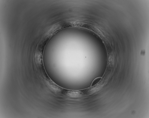 X0000097800671200803141055