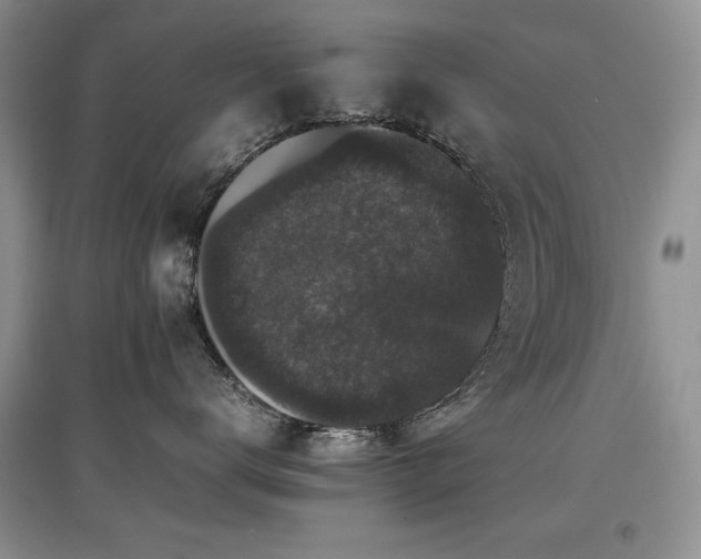 X0000097800672200803141055