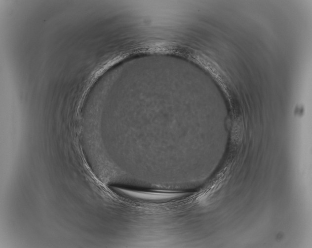 X0000097800673200803141054