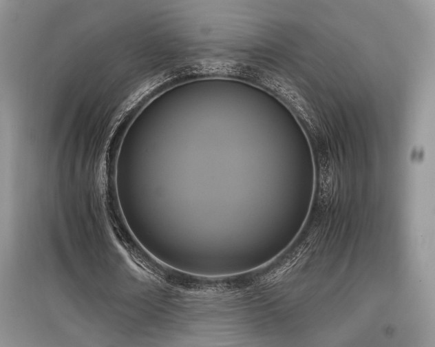 X0000097800674200803141054