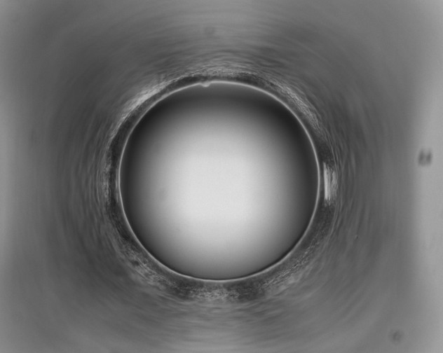 X0000097800675200803141054