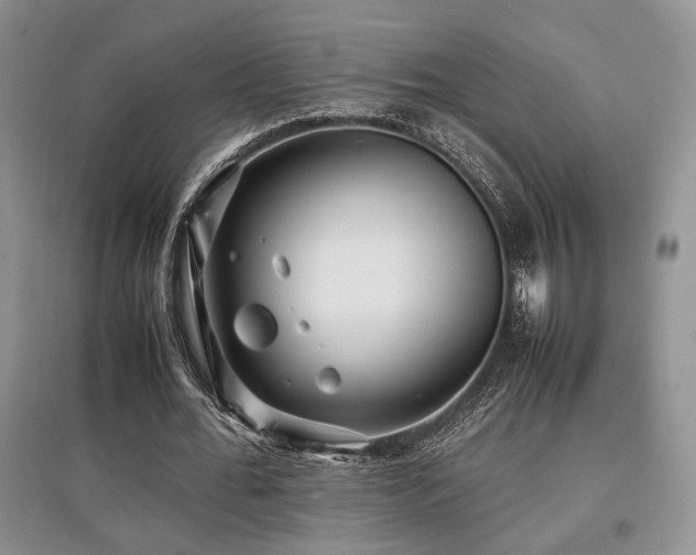 X0000097800676200803141054