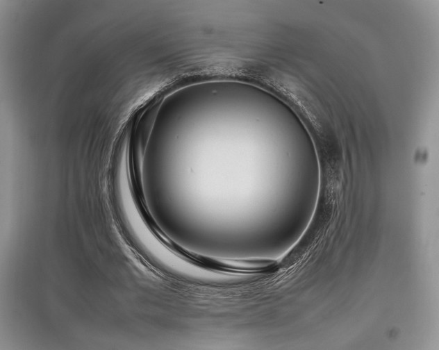 X0000097800677200803141054