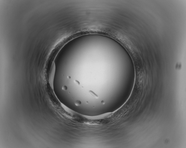 X0000097800680200803141054