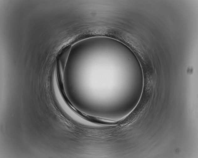 X0000097800681200803141054