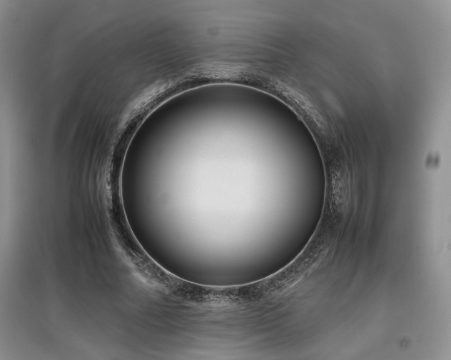 X0000097800682200803141054