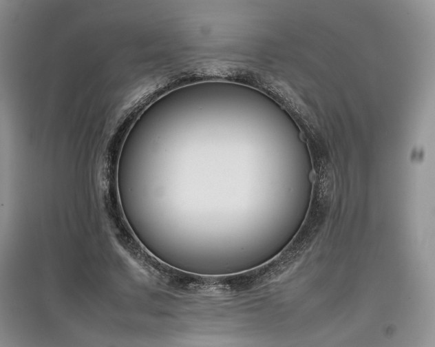 X0000097800683200803141054